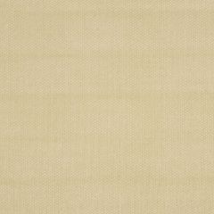 Robert Allen Scrumptious Sand Essentials Collection Indoor Upholstery Fabric
