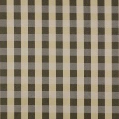 Robert Allen Contract Checker Game Shadow Indoor Upholstery Fabric