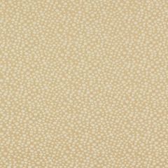 Robert Allen Contract Rain Storm Wheat Indoor Upholstery Fabric