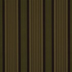 Robert Allen Vanessa Stripe Bay Leaf 151193 Indoor Upholstery Fabric