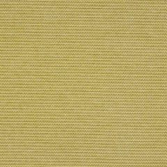 Robert Allen Evetta Pear 151986 Indoor Upholstery Fabric