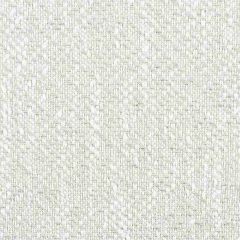 Stout Foundation Smoke 1 No Boundaries Performance Collection Upholstery Fabric