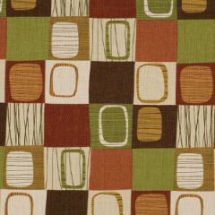 Robert Allen Spinneret Mango Modern Library Multi Purpose Collection Indoor Upholstery Fabric