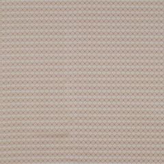 Robert Allen Derrylin Flint 152174 Multipurpose Fabric