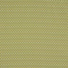 Robert Allen Bizzy Spearmint Essentials Collection Indoor Upholstery Fabric