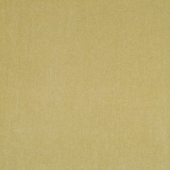 Robert Allen Bradenburg Sprout Essentials Collection Indoor Upholstery Fabric