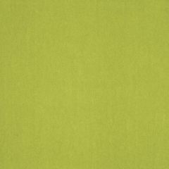 Robert Allen Bradenburg Apple Essentials Collection Indoor Upholstery Fabric