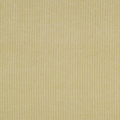 Robert Allen Burkesville Sprout Essentials Collection Indoor Upholstery Fabric
