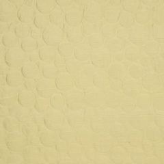 Robert Allen Calexico Champagne 152477 Indoor Upholstery Fabric