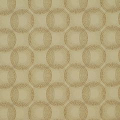 Robert Allen Fire Crest Stone Modern Library Collection Indoor Upholstery Fabric