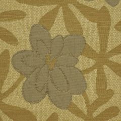 Robert Allen Petal Splash Limestone 152727 Indoor Upholstery Fabric