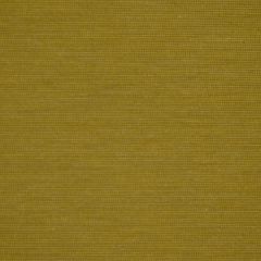 Robert Allen Posh Sheen Celery Modern Library Collection Indoor Upholstery Fabric