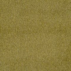 Beacon Hill Simply Amazing Golden Sage 152759 Indoor Upholstery Fabric