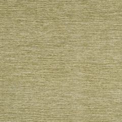 Beacon Hill Tranquil Lines Sage 152769 Indoor Upholstery Fabric