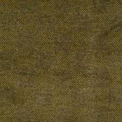 Beacon Hill Checker Block Chocolate Sage 152778 Indoor Upholstery Fabric