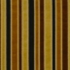 Robert Allen Rare Beauty Riverstone 152851 Indoor Upholstery Fabric
