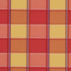 Robert Allen Botanica Plaid Sungold Home Upholstery Collection Indoor Upholstery Fabric