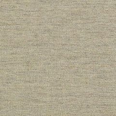 Duralee Khaki 36263-121 Decor Fabric