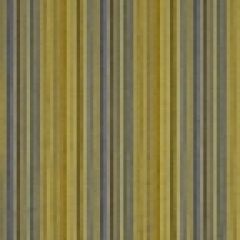 Robert Allen Hillsmere Caspian 153981 Indoor Upholstery Fabric