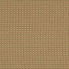 Robert Allen Hansbrick Paprika Color Library Collection Indoor Upholstery Fabric