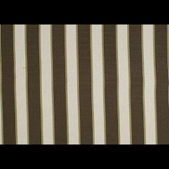 Robert Allen Myron Stripe Portobello 154951 Indoor Upholstery Fabric