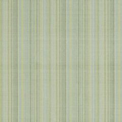 Robert Allen Aniston Sprig Essentials Multi Purpose Collection Indoor Upholstery Fabric