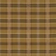 Robert Allen Stitched Check Clay 155860 Multipurpose Fabric