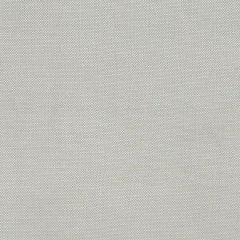 Robert Allen Savannah Weave Ice Essentials Multi Purpose Collection Indoor Upholstery Fabric