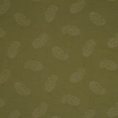 Robert Allen Sangamon Willow 156205 Indoor Upholstery Fabric