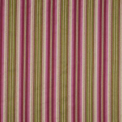 Robert Allen Windridge Hill Perennial Essentials Collection Indoor Upholstery Fabric