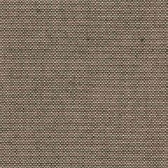 Perennials Canvas Weave Stone 600-26 More Amore Collection Upholstery Fabric