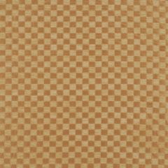 Beacon Hill Shiny Checkers Clementine 157099 Indoor Upholstery Fabric