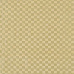 Beacon Hill Shiny Checkers Golden Peridot 157101 Indoor Upholstery Fabric