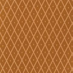 Beacon Hill Dotted Nets Cognac 157178 Indoor Upholstery Fabric