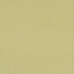 Beacon Hill Simply Plush Pale Peridot Color Library Collection Indoor Upholstery Fabric