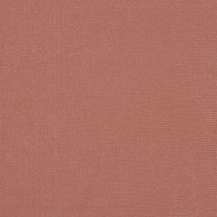 Robert Allen Glitteratti Teaberry 159215 Indoor Upholstery Fabric