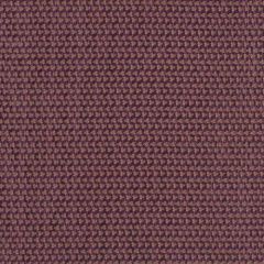Robert Allen Simply Petals Plum 159286 Indoor Upholstery Fabric