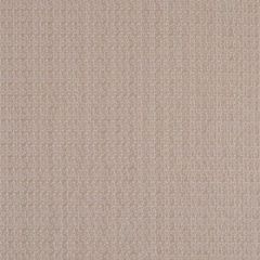 Robert Allen Simply Petals Peche 159289 Indoor Upholstery Fabric