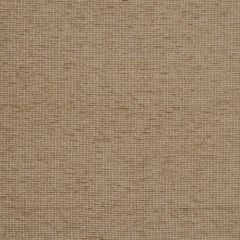 Robert Allen Temora Bark 159594 by Lillian August Indoor Upholstery Fabric