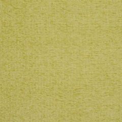 Robert Allen Temora Grass 159599 by Lillian August Indoor Upholstery Fabric