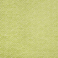 Kravet Design 34682-3 Crypton Home Collection Indoor Upholstery Fabric
