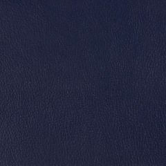Kravet Smart Blue Newt 50 Indoor Upholstery Fabric