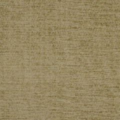 Robert Allen Campobello Celery 160418 Indoor Upholstery Fabric