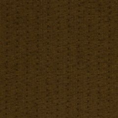 Robert Allen Glad All Over Chocolate 160422 Indoor Upholstery Fabric
