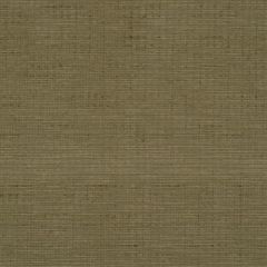Robert Allen Davis Square Bonsai 160482 Indoor Upholstery Fabric