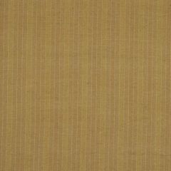 Robert Allen Aqualina Bamboo 160521 Multipurpose Fabric