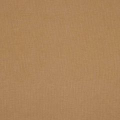 Robert Allen Endless Chai Color Library Multipurpose Collection Indoor Upholstery Fabric