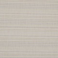 Robert Allen Sunrise Beach Sand Dollar 160661 Indoor Upholstery Fabric