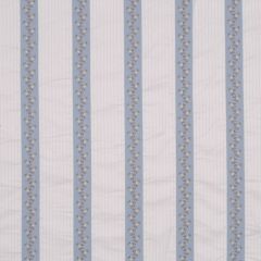 Robert Allen Roseglen Rain 160706 Indoor Upholstery Fabric