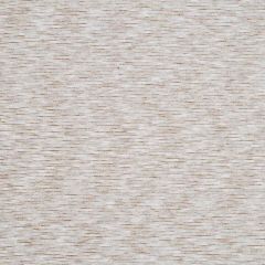 Robert Allen Optical Wave Sand Dollar Color Library Collection Indoor Upholstery Fabric